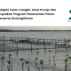 profil-desa-kronjo-tangerang:-mulai-aksi-penghijauan-sekarang-bersama-lindungihutan