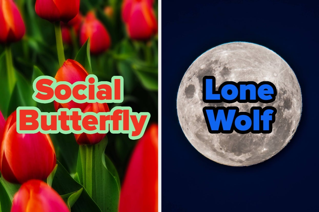 kami-dapat-menebak-berapa-lama-baterai-sosial-anda-bertahan-berdasarkan-situasi-sehari-hari-ini