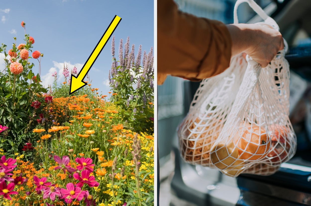 ini-hari-bumi!-kebiasaan-ramah-lingkungan-apa-yang-sudah-anda-terapkan-dalam-hidup-anda?