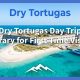 Rencana Perjalanan Sehari Tortugas Kering untuk Pengunjung Pertama Kali