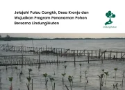 profil-penanaman-mangrove-di-pulau-cangkir-desa-kronjo-tangerang