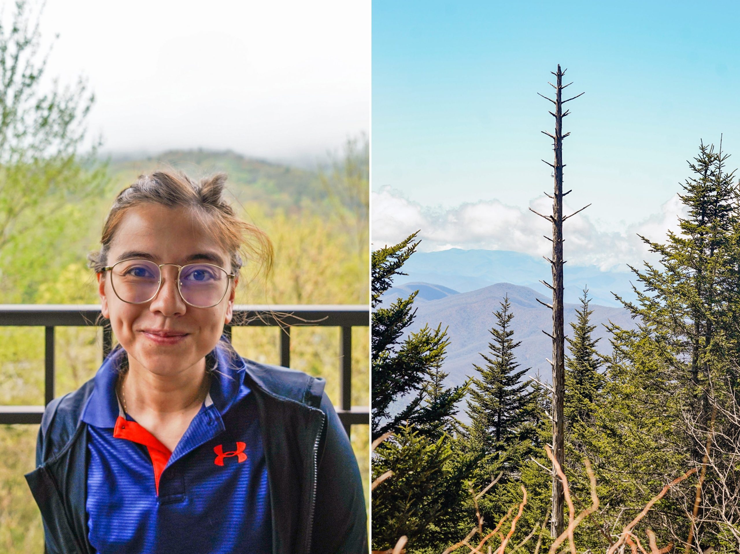 saya-pergi-ke-great-smoky-mountains-untuk-pertama-kalinya-8-kejutan-membuat-perjalanan-saya-lebih-sulit-—-dan-lebih-baik-—-dari-yang-saya-perkirakan.