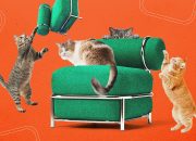 kursi-tiup-baru-ikea-telah-diuji-oleh-kucing