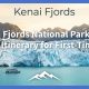 Rencana Perjalanan Satu Hari Taman Nasional Kenai Fjords untuk Pemula