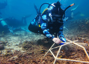 aksi-brigitta-gunawan-selamatkan-karang-lewat-teknologi-vr-dan-edukasi