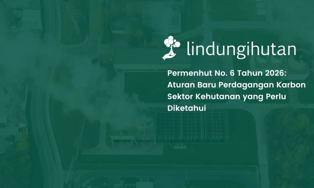 regulasi-baru-perdagangan-karbon-kehutanan:-permenhut-6/2026 