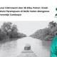 nurul-fatmawati,-sosok-perempuan-inspiratif-di-balik-38-ribu-pohon-mangrove-di-wonorejo-surabaya