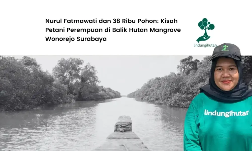 nurul-fatmawati,-sosok-perempuan-inspiratif-di-balik-38-ribu-pohon-mangrove-di-wonorejo-surabaya