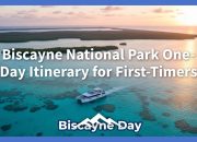 Rencana Perjalanan Satu Hari Taman Nasional Biscayne untuk Pemula