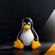 cacat-‘copy-fail’-linux-yang-baru-membuat-peretas-dapat-melakukan-root-pada-distro-distro-besar