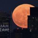foto:-melihat-pesona-flower-moon-di-penjuru-dunia