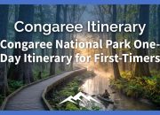 Rencana Perjalanan Satu Hari Taman Nasional Congaree untuk Pemula
