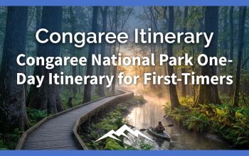 Rencana Perjalanan Satu Hari Taman Nasional Congaree untuk Pemula