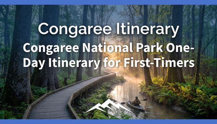 Rencana Perjalanan Satu Hari Taman Nasional Congaree untuk Pemula