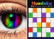“game-ini-sangat-menyenangkan?!?!”:-orang-terobsesi-dengan-huedoku-—-aka-color-sudoku