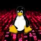 malware-quasar-linux-baru-yang-tersembunyi-menargetkan-pengembang-perangkat-lunak