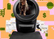 paket-litter-robot-4-kembali-turun-ke-harga-terbaik-tahun-ini