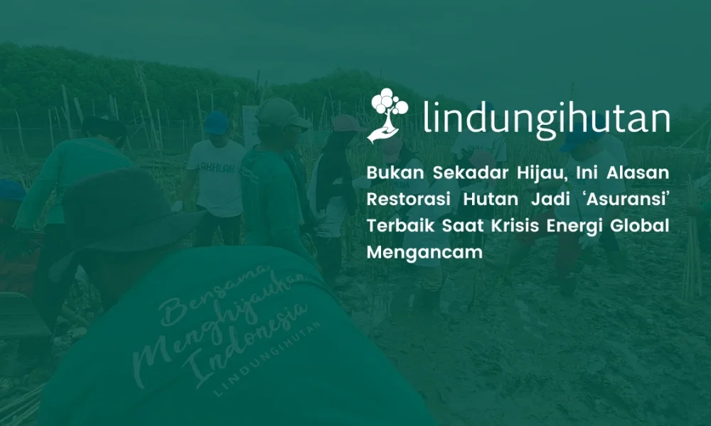 krisis-energi-global:-restorasi-hutan-sebagai-asuransi-ekonomi-masa-depan