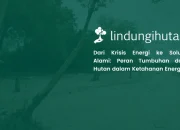 cara-mengatasi-krisis-energi:-peran-tumbuhan-dan-hutan-sebagai-sistem-energi-alami 