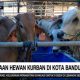 video:-ribuan-hewan-kurban-di-bandung-jalani-pemeriksaan-kesehatan