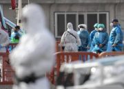 foto:-penumpang-kapal-pesiar-wabah-virus-hanta-mulai-dievakuasi