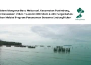 pulihkan-ekosistem-mangrove-desa-mekarsari,-kecamatan-panimbang