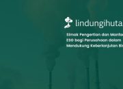 esg-adalah:-pengertian,-pilar,-dan-manfaat-bagi-perusahaan