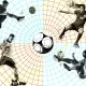 mengapa-sepak-bola-masih-menentang-analisis-statistik