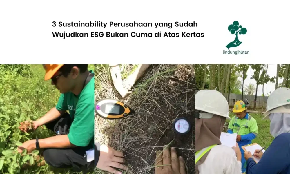 3-sustainability-perusahaan-indonesia-yang-patut-dijadikan-benchmark