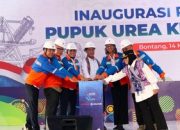 catatan-pupuk-nasional:-ekspor-ke-australia,-harga-dalam-negeri-turun