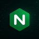 kerentanan-nginx-yang-berusia-18-tahun-memungkinkan-dos,-potensi-rce