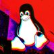cacat-fragnesia-linux-baru-memungkinkan-penyerang-mendapatkan-hak-akses-root