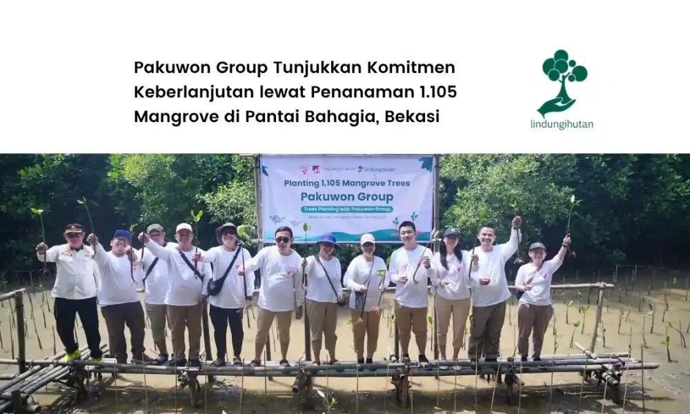 pakuwon-group-tanam-1.105-mangrove-di-pantai-bahagia,-kabupaten-bekasi