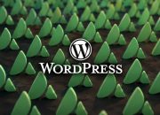 kelemahan-plugin-avada-builder-wordpress-memungkinkan-pencurian-kredensial-situs