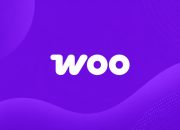 bug-plugin-funnel-builder-wordpress-dieksploitasi-untuk-mencuri-kartu-kredit
