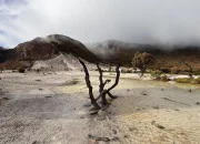 gunung-papandayan-cocok-untuk-pemula?-ini-7-alasannya