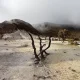gunung-papandayan-cocok-untuk-pemula?-ini-7-alasannya