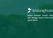 strategi-nature-based-solutions-untuk-perusahaan-dalam-mengatasi-krisis-energi