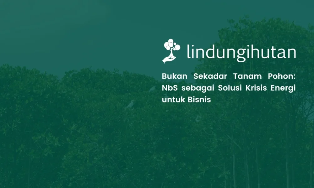strategi-nature-based-solutions-untuk-perusahaan-dalam-mengatasi-krisis-energi 