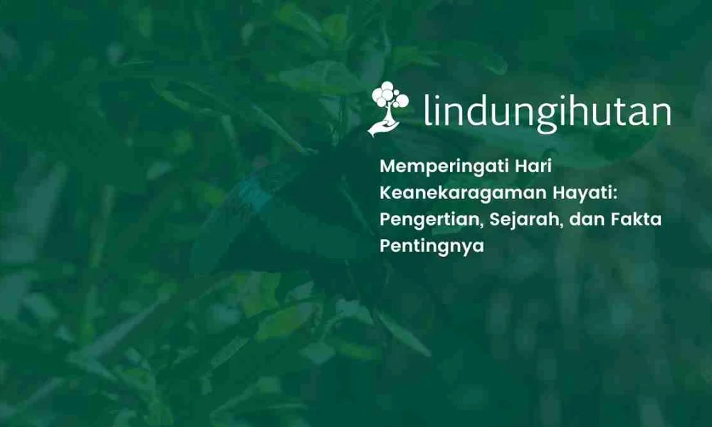 hari-keanekaragaman-hayati-2026:-sejarah,-tema,-dan-cara-merayakannya