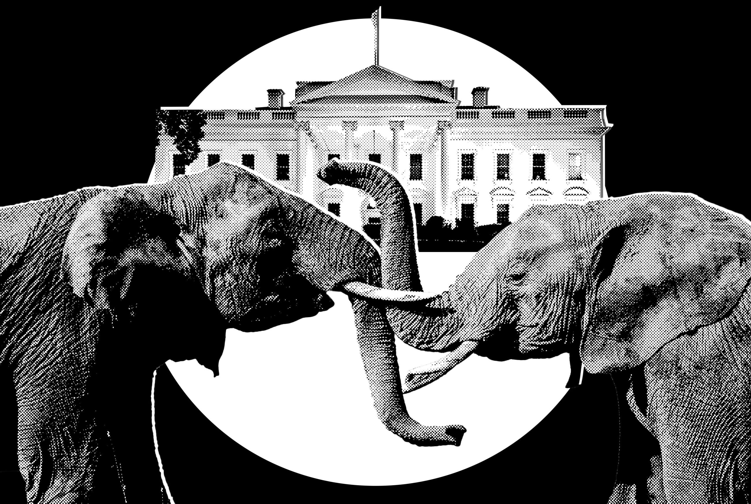 ini-secara-resmi-musim-pemilu-di-trumpworld