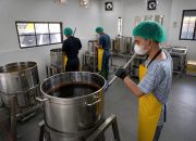 teknologi-produksi-modern-membuat-palm-sugar-lebih-higienis-dan-praktis