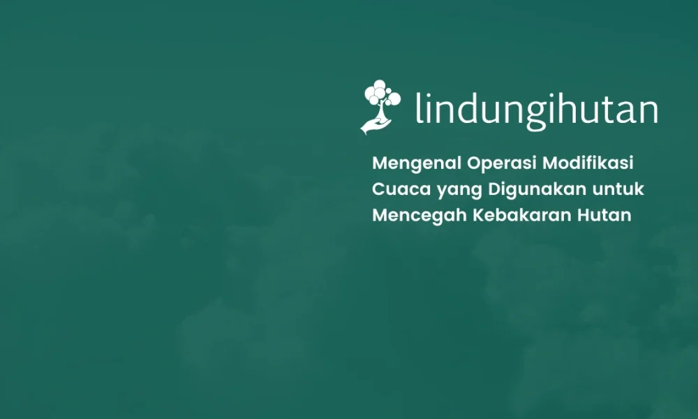 operasi-modifikasi-cuaca:-apa-itu-dan-bagaimana-cara-kerjanya-untuk-cegah-karhutla?