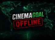 italia-mengganggu-aplikasi-pembajakan-cinemagoal-yang-mencuri-kode-autentikasi-streaming
