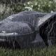Mesin Pemotong Robot Husqvarna Automower 410iQ dijual di Amazon dengan diskon $800