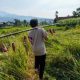 FOTO: Tinggalkan Plastik, Distribusi Kurban Beralih ke Wadah Alami