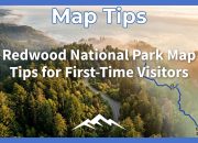 tip-peta-taman-nasional-redwood-untuk-pengunjung-pertama-kali