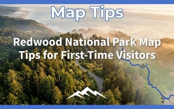 Tip Peta Taman Nasional Redwood untuk Pengunjung Pertama Kali