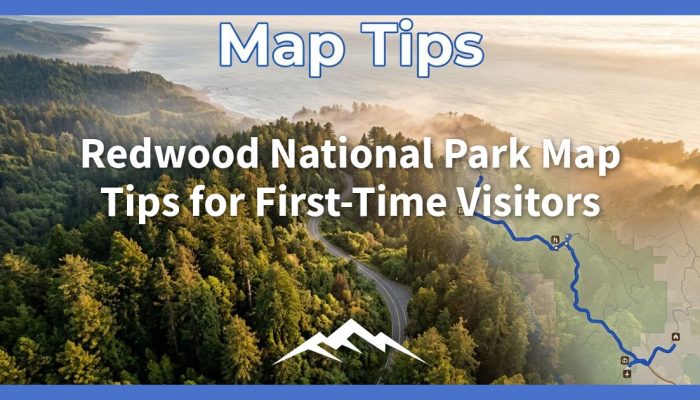 Tip Peta Taman Nasional Redwood untuk Pengunjung Pertama Kali