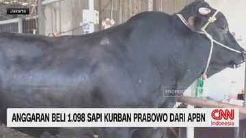 video:-anggaran-rp100-miliar-sapi-kurban-prabowo-jadi-sorotan